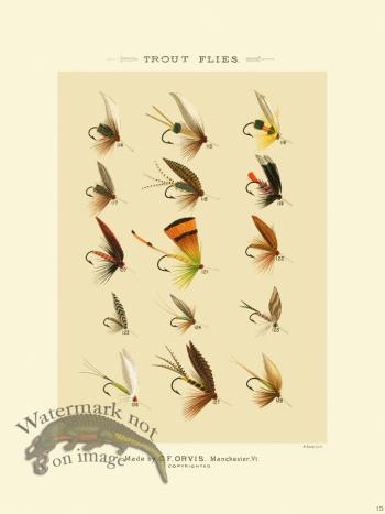 Favorite Flies 15 Trout